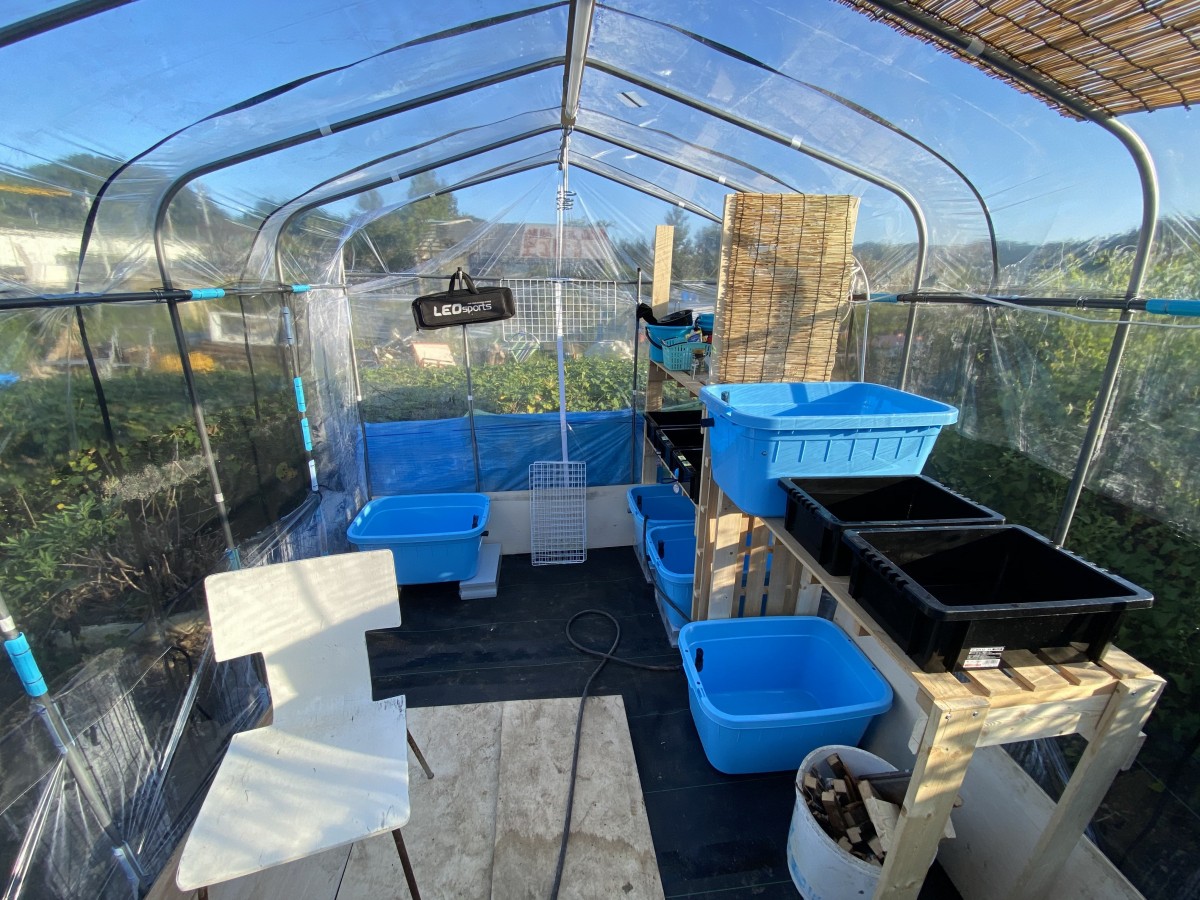 初めてのメダカ冬越え備えてビニールハウス設営しました 写真投稿 アクアネット